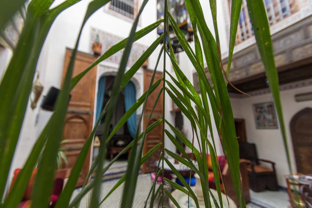 פס Riad Sunrise חדר תמונה